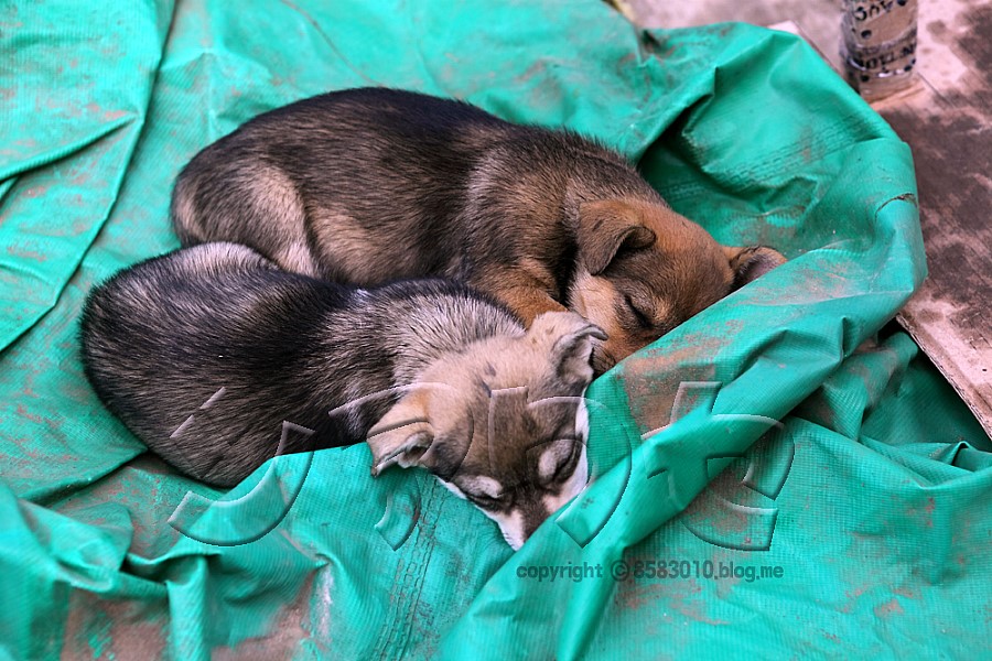 한빛수산 이미지