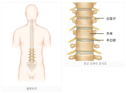 정마취통증의학과 이미지
