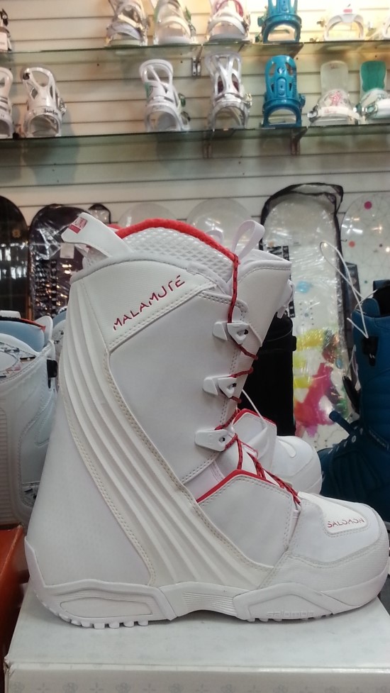 알프스레져 이미지