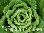 인지망 이미지
