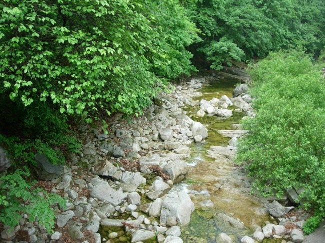 백운계곡 동장군축제 이미지