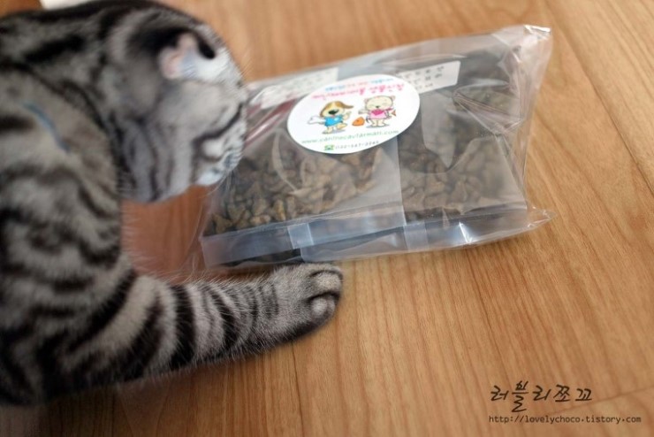 캐비아치킨 이미지