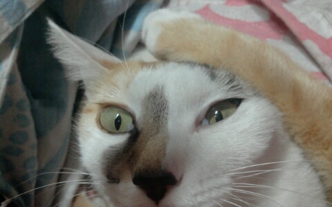 유유봉봉 이미지