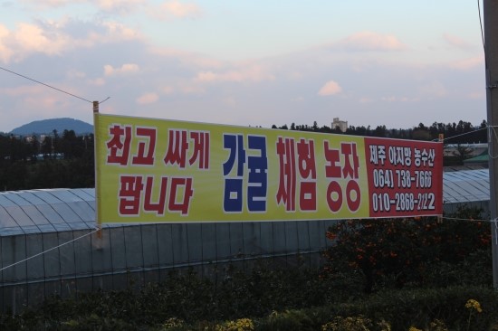 제주아지망농수산 이미지