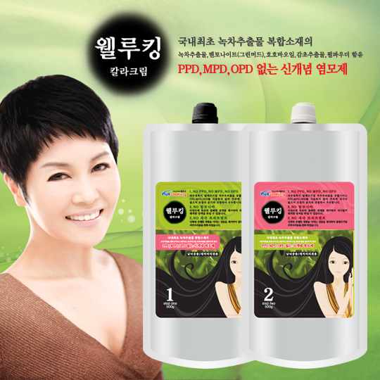 웰디자인기획 이미지
