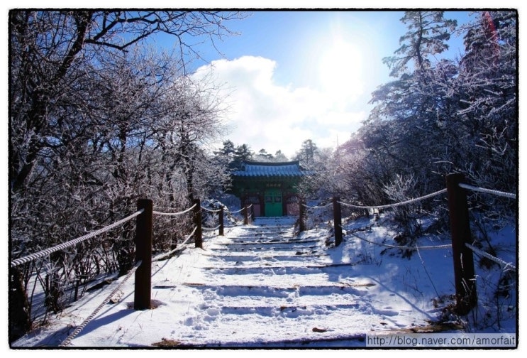 조화불교사 이미지