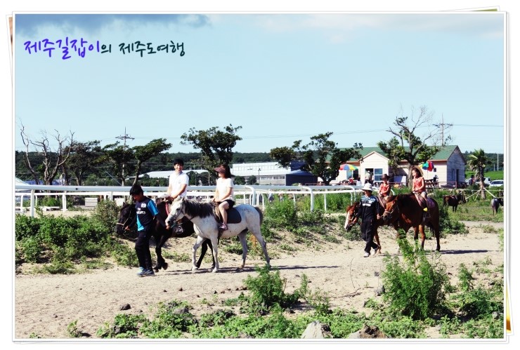 서광자동차랜드 이미지