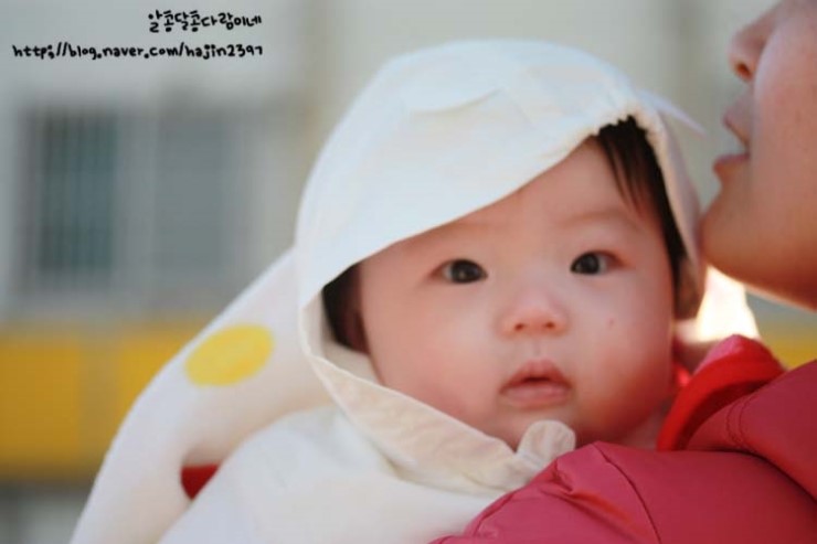 깊이울오리 이미지
