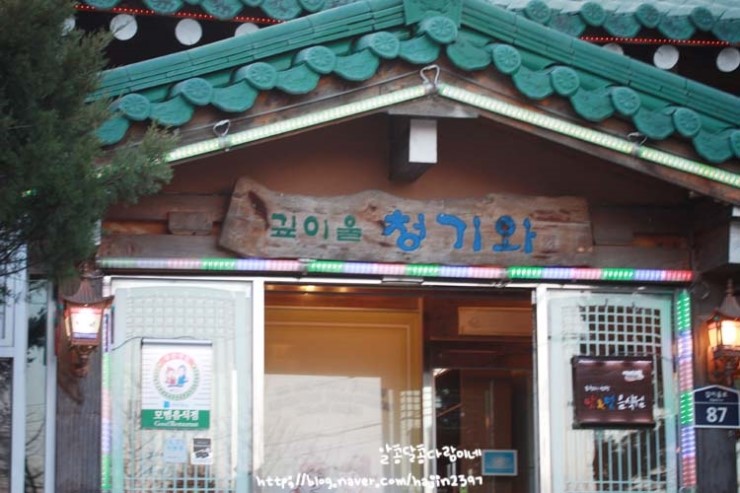 깊이울오리 이미지