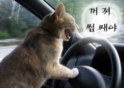 휴대폰플라자 이미지