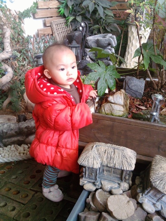서연조경 이미지
