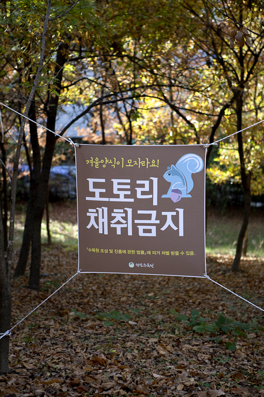 둔산아름다운사진 이미지