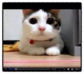카페휴일 이미지