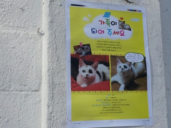 하얀가게 이미지