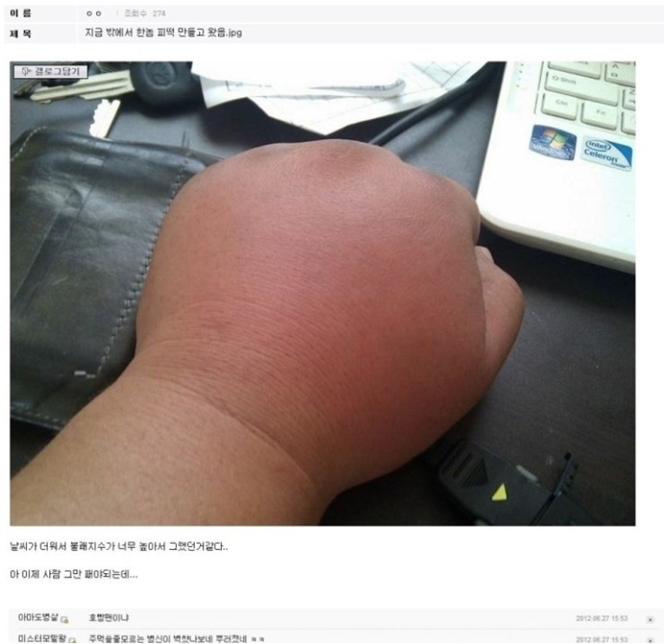 마인갤러리 이미지
