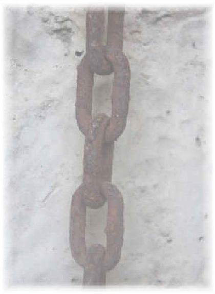 바이오크린 이미지