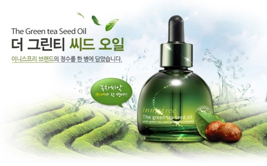 씨드스토리 이미지