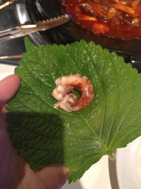 신쭈 이미지
