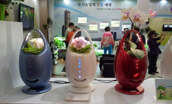 해피온 이미지