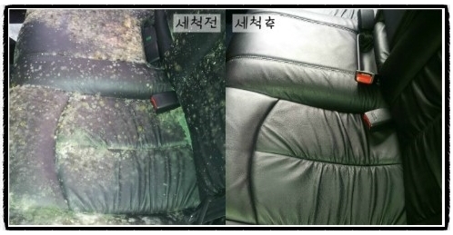 수스팀세차 이미지