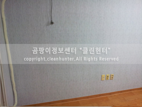 곰팡이헌터 이미지
