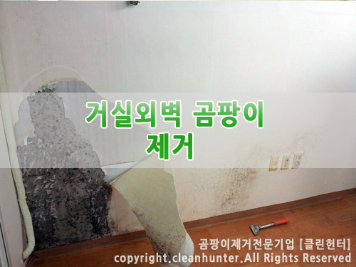 곰팡이헌터 이미지