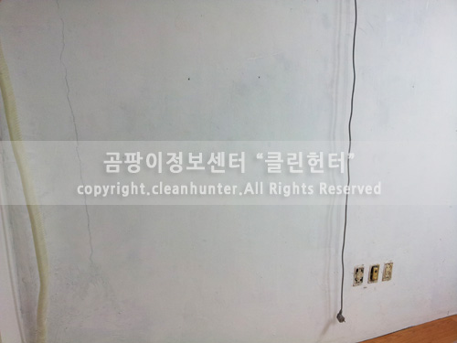 곰팡이헌터 이미지