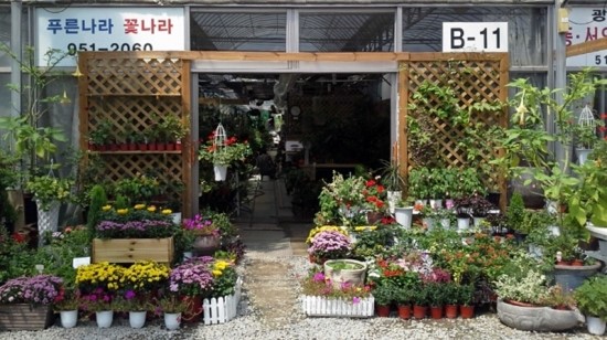 푸른나라꽃나라 이미지