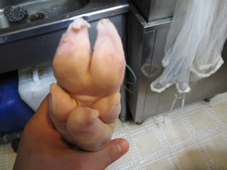 돼지발 이미지