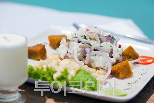 사비투어 이미지