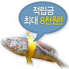 영광직판굴비 이미지