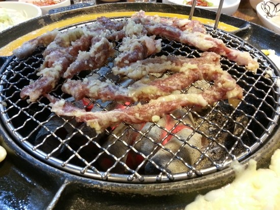 갈매기먹짱 이미지