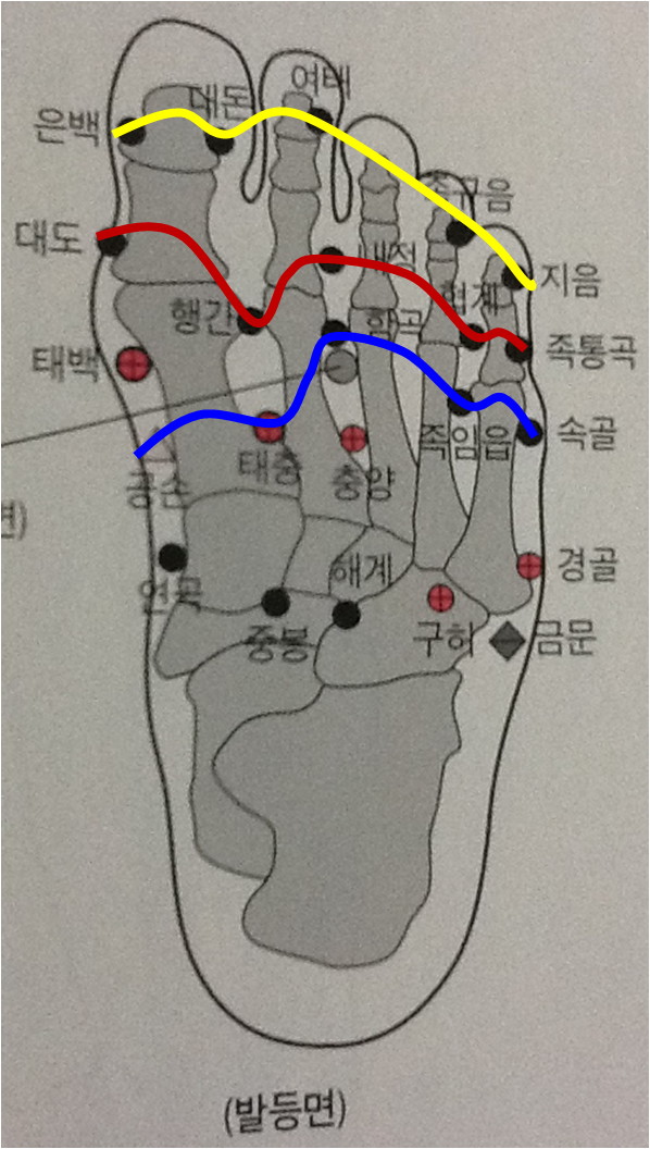 하체관리 - 경락학적으로 본 하체관리, 하체 부종 관리, 효과적인 하체관리 방법 : 네이버 블로그 하체관리 - 경락학적으로 본 하체관리, 하체 부종 관리, 효과적인 하체관리 방법 : 네이버 블로그
