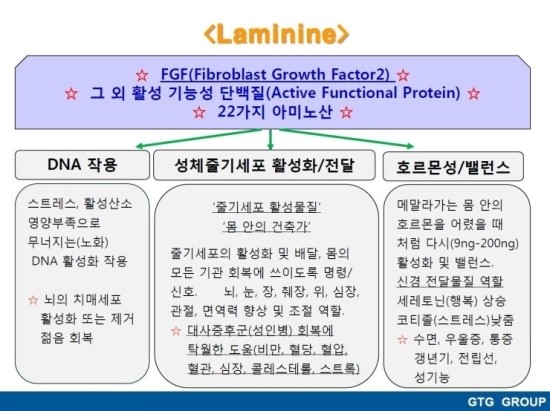 팜라이프 이미지