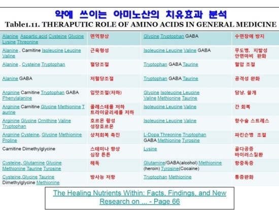 팜라이프 이미지