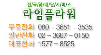 영동장례식장 이미지