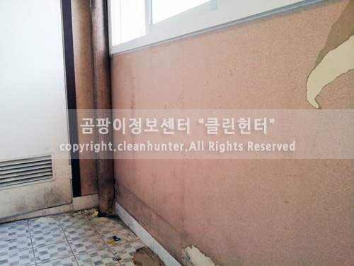 곰팡이헌터 이미지