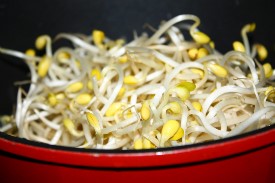 힐리푸드 이미지