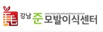 준헤어라인 이미지