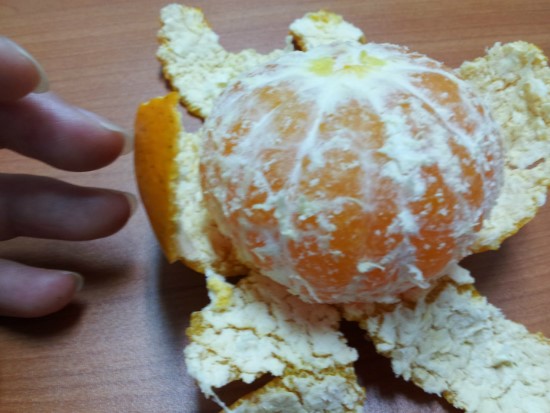 휘성농장 이미지