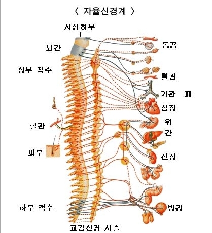 효소와발이야기 이미지