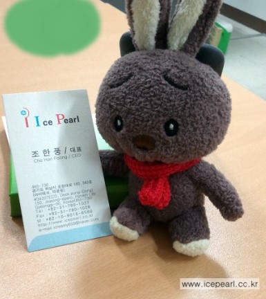 (주)아이스펄 이미지