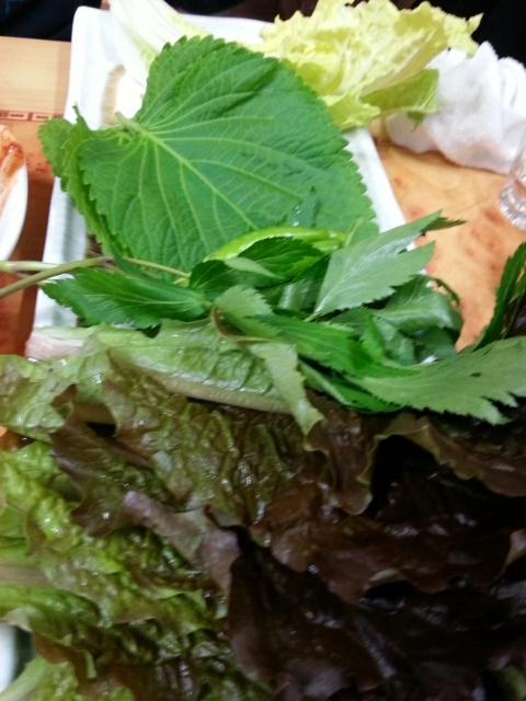 연제정 이미지