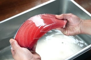 도참치 이미지