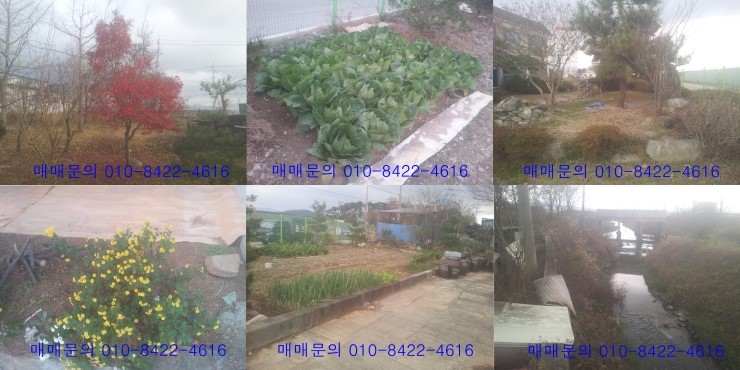 털보축산 이미지
