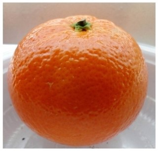 수채화 피부관리 이미지