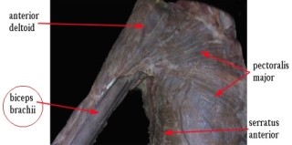 구미퍼스널트레이닝웰라인휘트니스 이미지