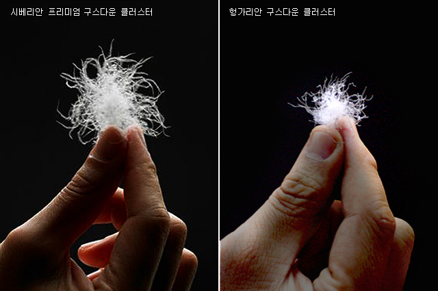 다운환경(주) 이미지