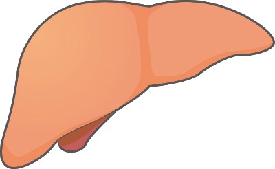 연세윤내과의원 이미지