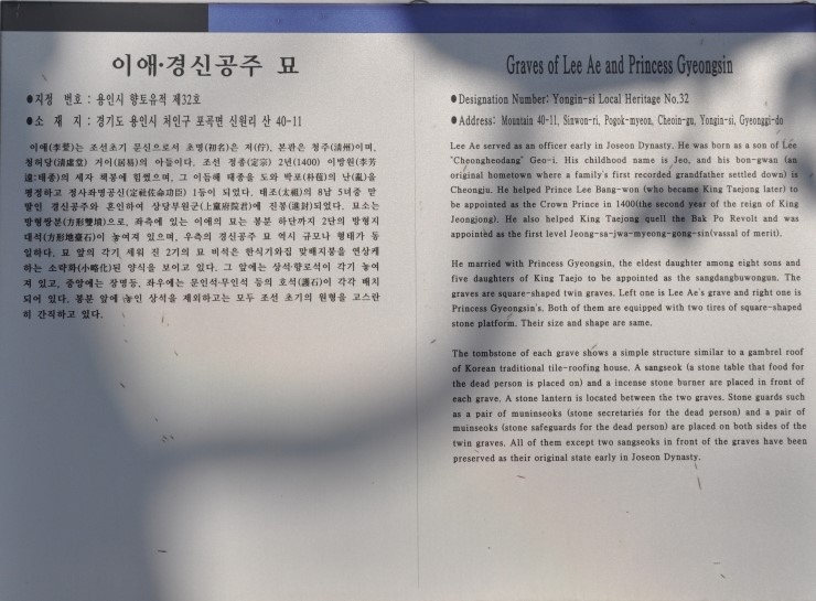 이*애 이미지